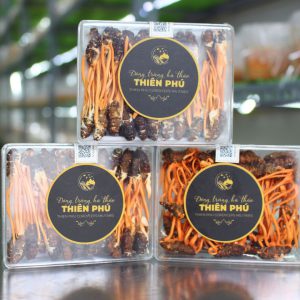 Đông trùng hạ thảo ký chủ nhộng tằm nguyên con - Set đơn