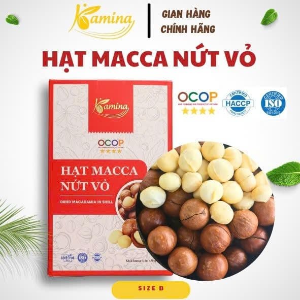 Hạt Macca Nứt Vỏ B - H450
