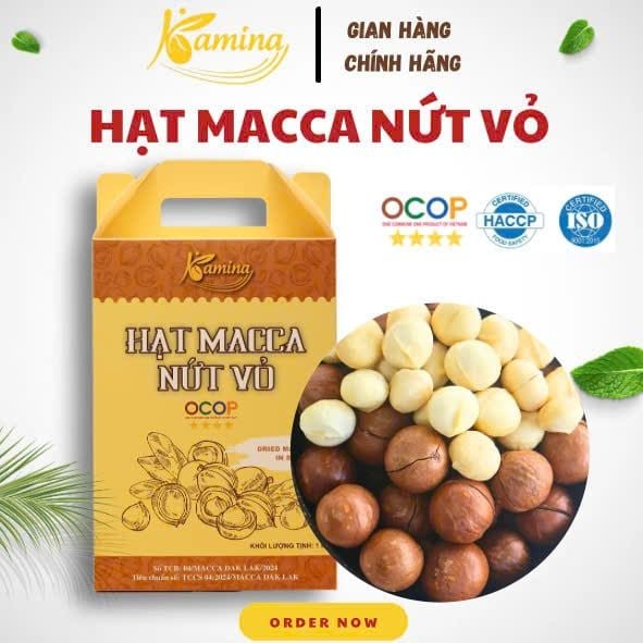 Hạt Macca Nứt Vỏ - H1000