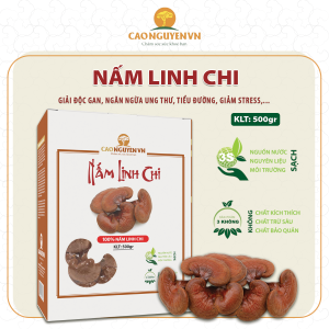 Nấm Linh Chi Nguyên Quả